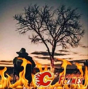 Meet your Posher, Brady